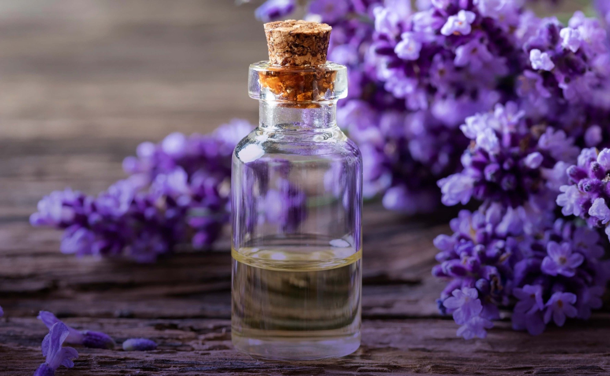 The distilled lavender oil
